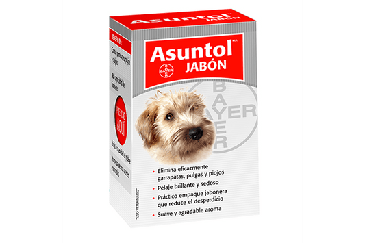 Asuntol Jabon